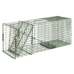 Duke Traps Standard Single Door Cage Trap - #3-1 Racoon/Cat